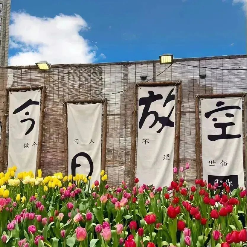 图片[4]-“句句无爱，句句皆清醒”-个人优选资源共享