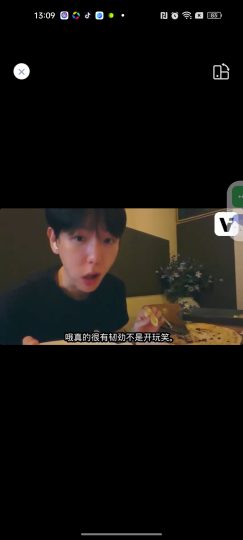 ViiTor实时翻译⭕翻译届天花板🔥19种语言随意切换-个人优选资源共享