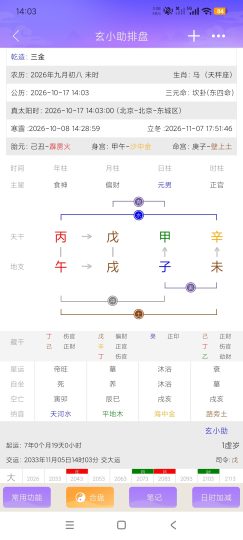 玄小助八字排盘学习工具小白变大神+老神棍指日可待-优选资源共享
