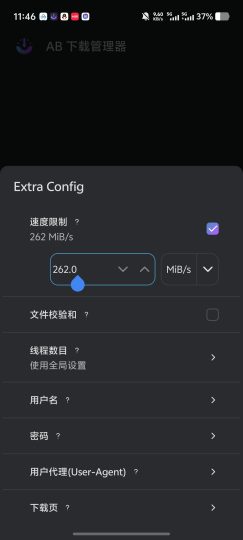 1AB DM｜安卓多线程下载管理器，磁力种子/视频不限速下载-个人优选资源共享