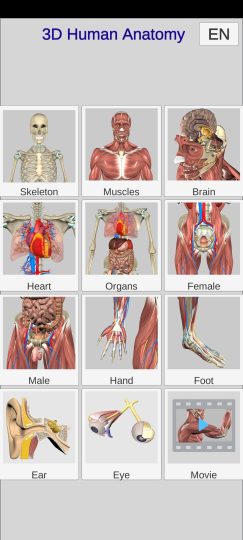 3D Anatomy🔥3D人体解剖学习🔥解锁高级版-个人优选资源共享