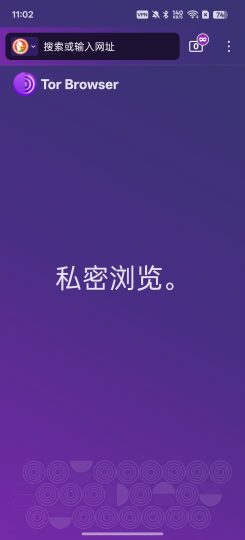 Tor Browser⭕真正的私密浏览器⭕隐藏真实IP-个人优选资源共享