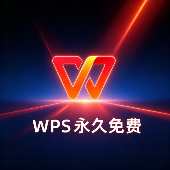WPS Office EDU国际教育版 （永久激活授权）-个人优选资源共享