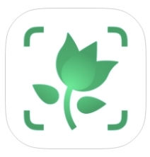智能植物识别工具解锁高级版免费分享-个人优选资源共享