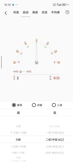 琵琶调音器高级版-个人优选资源共享