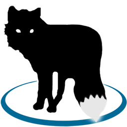 MetaFox v2.6.5.2 拖拽式视频一键无损快速转封装MKV 视频混流封装 汉化便携-优选资源共享
