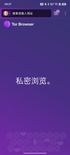 Tor Browser真正的私密浏览器隐藏真实IP-优选资源共享