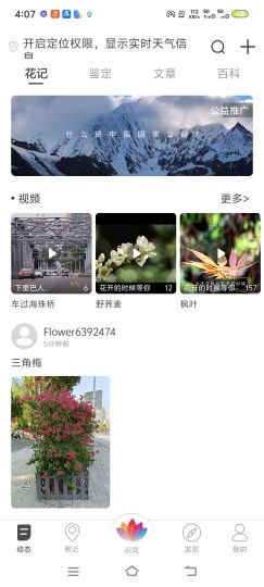  花伴侣 去除广告，识花再也不用看弹窗-优选资源共享